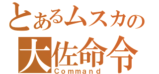 とあるムスカの大佐命令（Ｃｏｍｍａｎｄ）