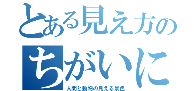 とある見え方のちがいについて（人間と動物の見える景色）