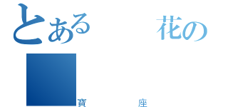 とある帥氣花の專屬（寶座）