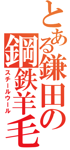 とある鎌田の鋼鉄羊毛（スチールウール）