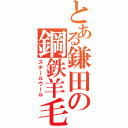 とある鎌田の鋼鉄羊毛（スチールウール）