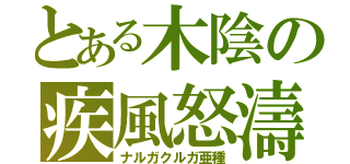 とある木陰の疾風怒濤（ナルガクルガ亜種）