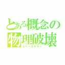 とある概念の物理破壊（スペースキラー）