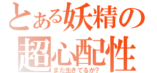 とある妖精の超心配性（まだ生きてるか？）