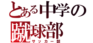 とある中学の蹴球部（サッカー部）