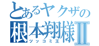 とあるヤクザの根本翔様Ⅱ（ツッコミ王）