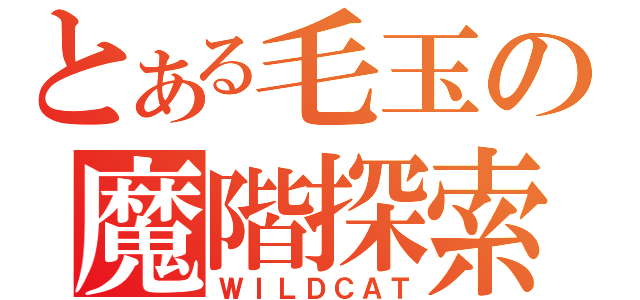 とある毛玉の魔階探索（ＷＩＬＤＣＡＴ）