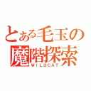 とある毛玉の魔階探索（ＷＩＬＤＣＡＴ）