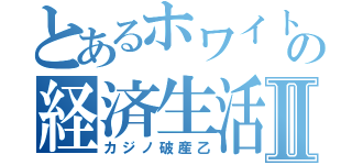 とあるホワイトの経済生活Ⅱ（カジノ破産乙）