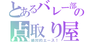 とあるバレー部の点取り屋（絶対的エース！）