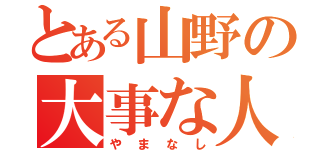 とある山野の大事な人（やまなし）