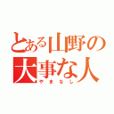 とある山野の大事な人（やまなし）