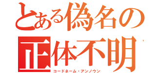 とある偽名の正体不明（コードネーム・アンノウン）