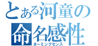 とある河童の命名感性（ネーミングセンス）