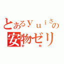 とあるｙｕｉさんの安物ゼリー（好物）