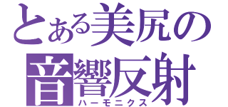 とある美尻の音響反射（ハーモニクス）