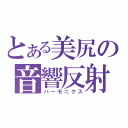 とある美尻の音響反射（ハーモニクス）