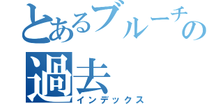 とあるブルーチームの過去（インデックス）