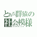 とある群猿の社会模様（ドラマティック）