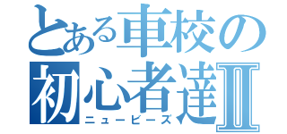 とある車校の初心者達Ⅱ（ニュービーズ）