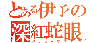 とある伊予の深紅蛇眼（メデューサ）