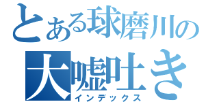 とある球磨川の大嘘吐き（インデックス）