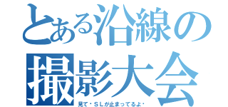 とある沿線の撮影大会（見て‼ＳＬが止まってるよ‼）