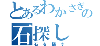 とあるわかさぎ姫の石探し（石を探す）