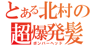 とある北村の超爆発髪（ボンバーヘッド）