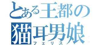 とある王都の猫耳男娘（フェリス）