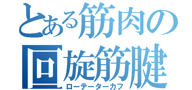 とある筋肉の回旋筋腱板（ローテーターカフ）