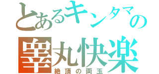 とあるキンタマの睾丸快楽（絶頂の両玉）