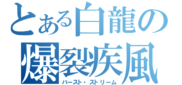 とある白龍の爆裂疾風弾（バースト・ストリーム）