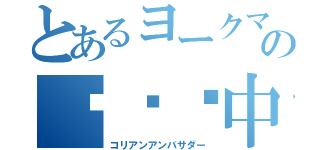 とあるヨークマの中里耕大（コリアンアンバサダー）