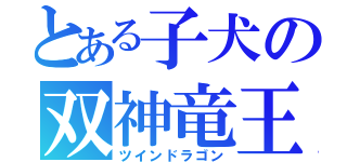 とある子犬の双神竜王（ツインドラゴン）