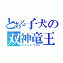 とある子犬の双神竜王（ツインドラゴン）