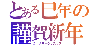 とある巳年の謹賀新年（＆　メリークリスマス）