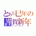 とある巳年の謹賀新年（＆　メリークリスマス）