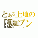 とある上地の釈迦ブンブン（ミツバチ）