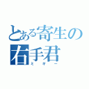 とある寄生の右手君（ミギー）