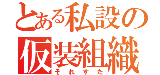 とある私設の仮装組織（それすた）