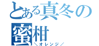 とある真冬の蜜柑（＼オレンジ／）