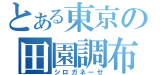 とある東京の田園調布（シロガネーゼ）