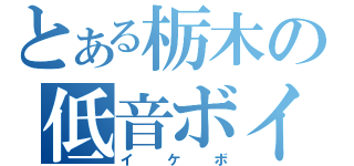 とある栃木の低音ボイス（イケボ）