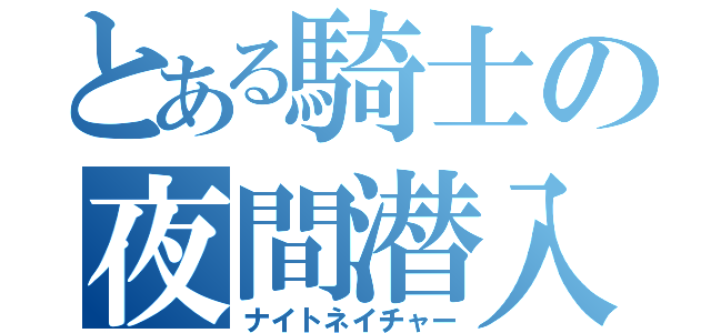 とある騎士の夜間潜入（ナイトネイチャー）