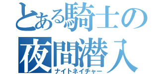 とある騎士の夜間潜入（ナイトネイチャー）