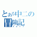 とある中二の冒険記（スカイプ）