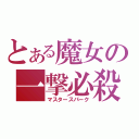 とある魔女の一撃必殺（マスタースパーク）