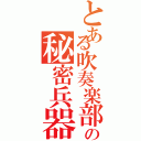 とある吹奏楽部の秘密兵器（）