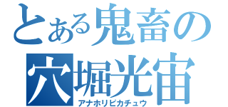 とある鬼畜の穴堀光宙（アナホリピカチュウ）